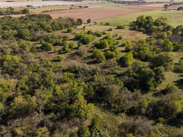 $743,500 | Tbd Southeast 10th Road, Golden City, MO 64748