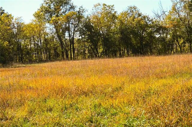 $743,500 | Tbd Southeast 10th Road, Golden City, MO 64748