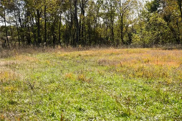 $600,000 | Tbd Southeast 10th Road, Golden City, MO 64748