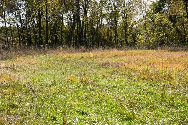 $743,500 | Tbd Southeast 10th Road, Golden City, MO 64748