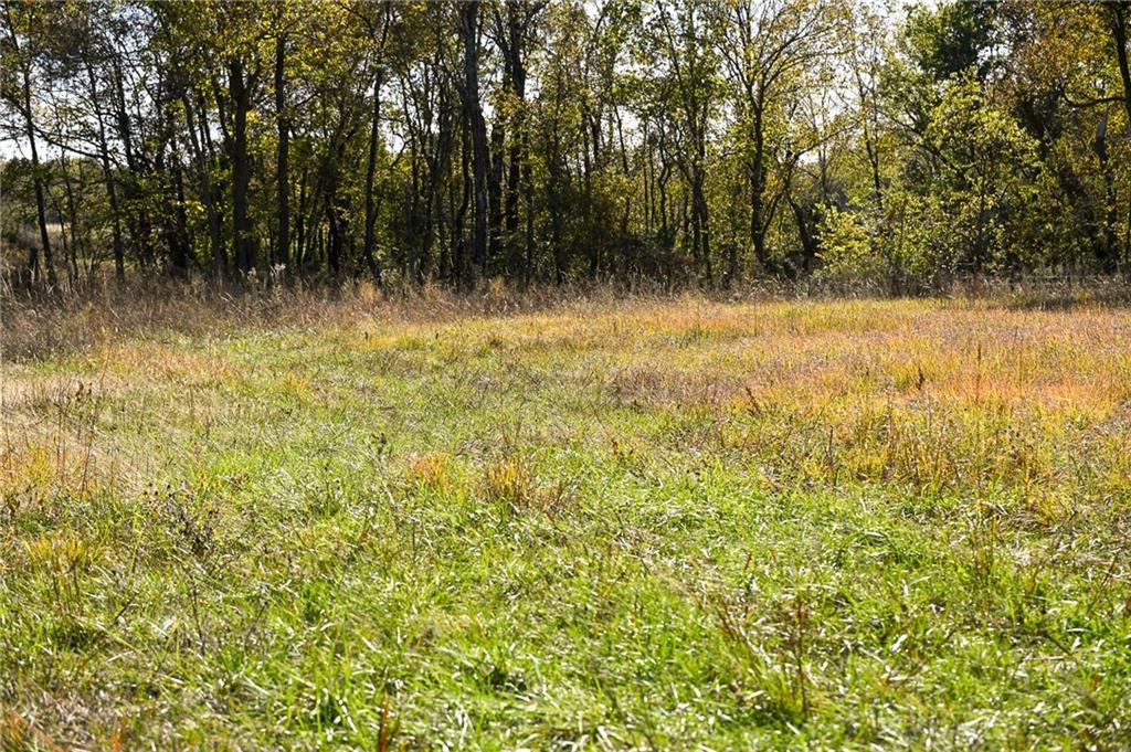 Tbd Southeast 10th Road Golden City, MO 64748 - Photo 18 of 48