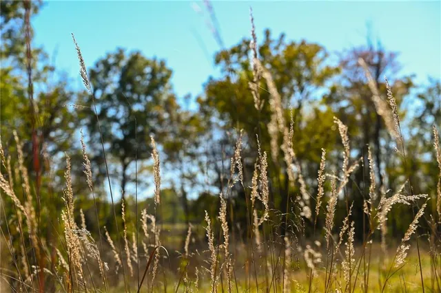 $743,500 | Tbd Southeast 10th Road, Golden City, MO 64748