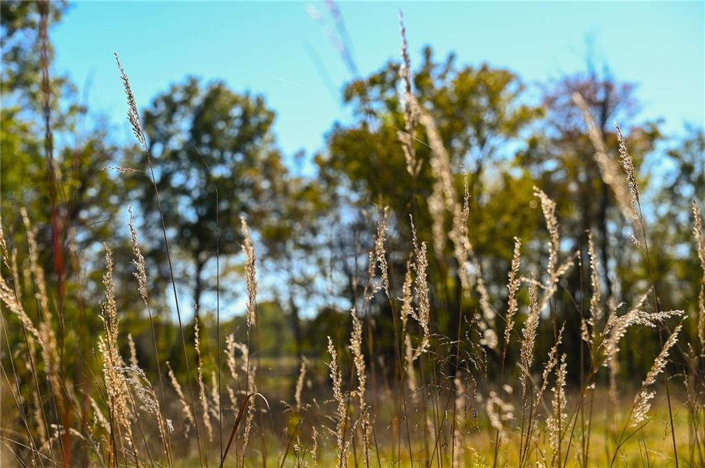 Tbd Southeast 10th Road Golden City, MO 64748 - Photo 19 of 48