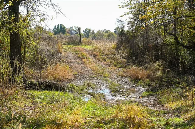 $743,500 | Tbd Southeast 10th Road, Golden City, MO 64748