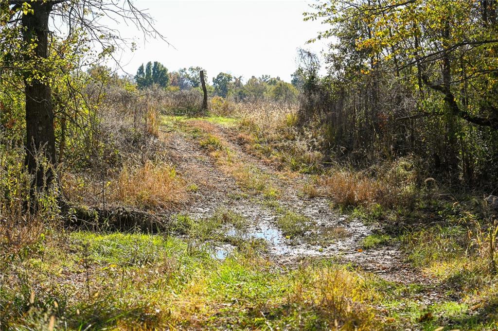 Tbd Southeast 10th Road Golden City, MO 64748 - Photo 21 of 48