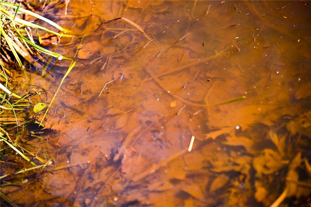 Tbd Southeast 10th Road Golden City, MO 64748 - Photo 22 of 48