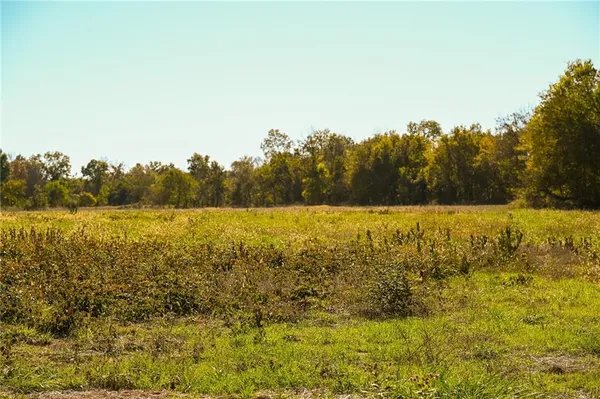 $600,000 | Tbd Southeast 10th Road, Golden City, MO 64748