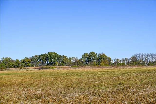 $743,500 | Tbd Southeast 10th Road, Golden City, MO 64748