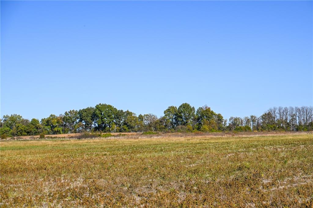 Tbd Southeast 10th Road Golden City, MO 64748 - Photo 25 of 48