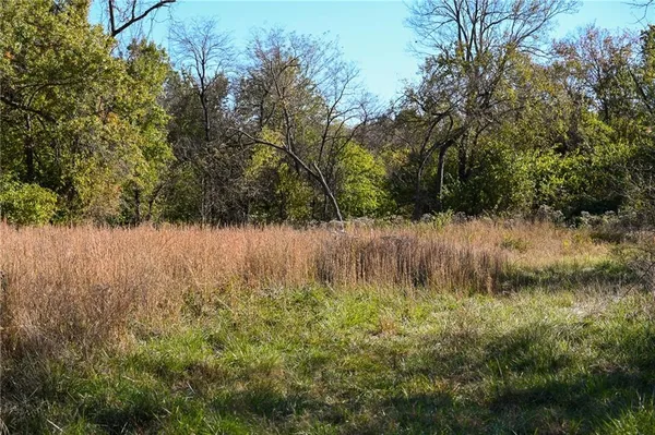 $600,000 | Tbd Southeast 10th Road, Golden City, MO 64748