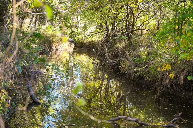 $743,500 | Tbd Southeast 10th Road, Golden City, MO 64748