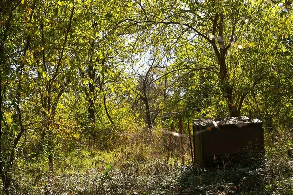 $600,000 | Tbd Southeast 10th Road, Golden City, MO 64748