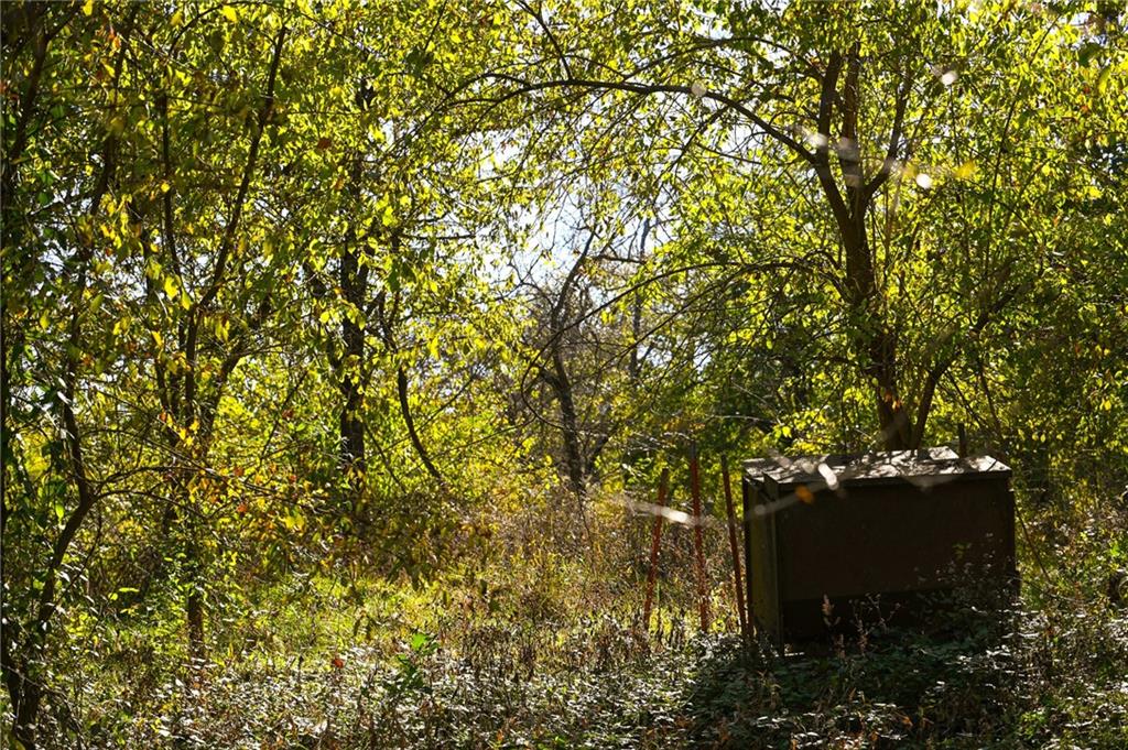 Tbd Southeast 10th Road Golden City, MO 64748 - Photo 30 of 48