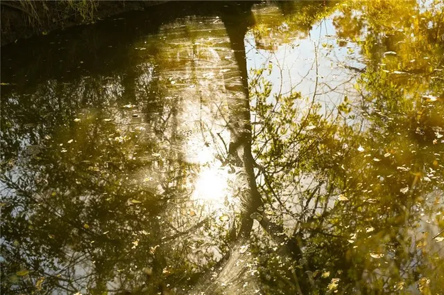 $743,500 | Tbd Southeast 10th Road, Golden City, MO 64748