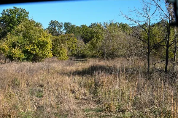 $600,000 | Tbd Southeast 10th Road, Golden City, MO 64748