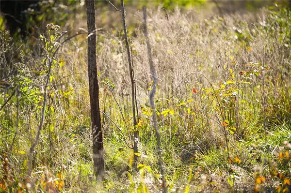 $600,000 | Tbd Southeast 10th Road, Golden City, MO 64748