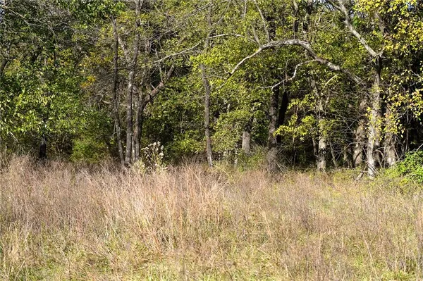 $600,000 | Tbd Southeast 10th Road, Golden City, MO 64748