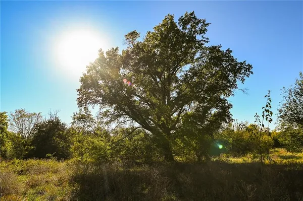 $600,000 | Tbd Southeast 10th Road, Golden City, MO 64748