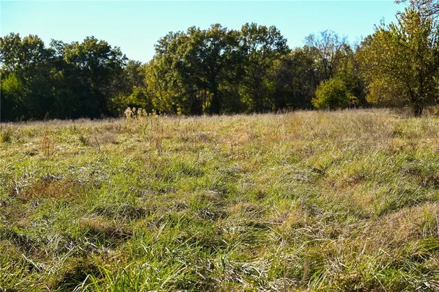 $743,500 | Tbd Southeast 10th Road, Golden City, MO 64748