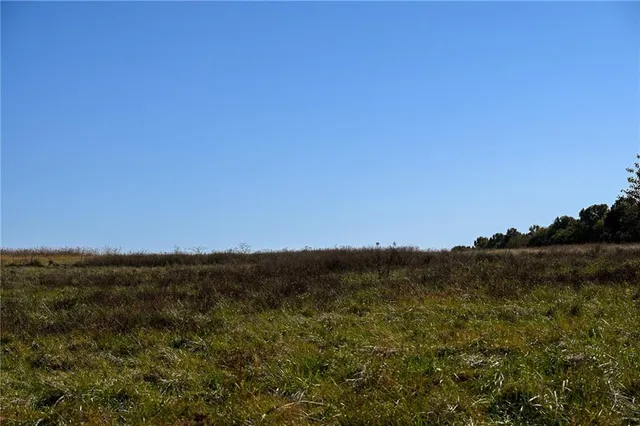 $743,500 | Tbd Southeast 10th Road, Golden City, MO 64748