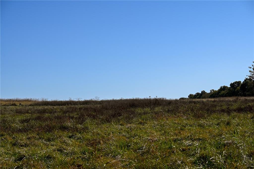 Tbd Southeast 10th Road Golden City, MO 64748 - Photo 42 of 48