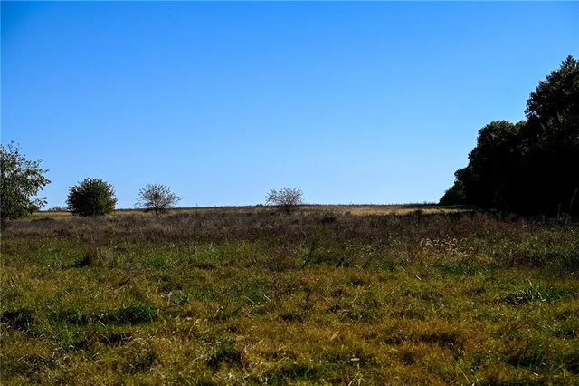 $743,500 | Tbd Southeast 10th Road, Golden City, MO 64748