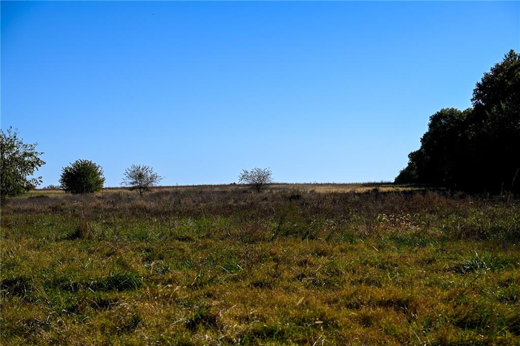 Tbd Southeast 10th Road Golden City, MO 64748 - Photo 43 of 48