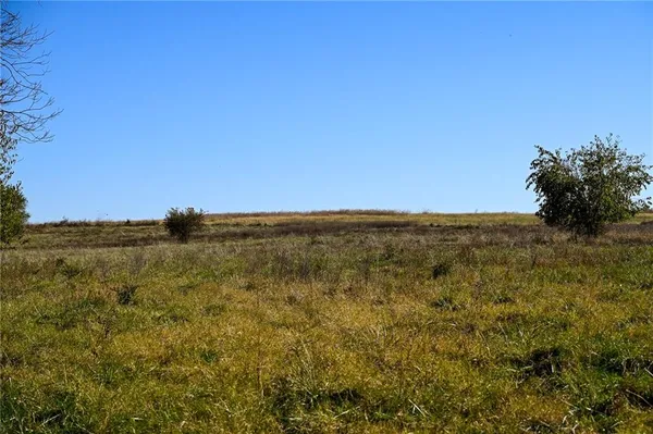 $600,000 | Tbd Southeast 10th Road, Golden City, MO 64748