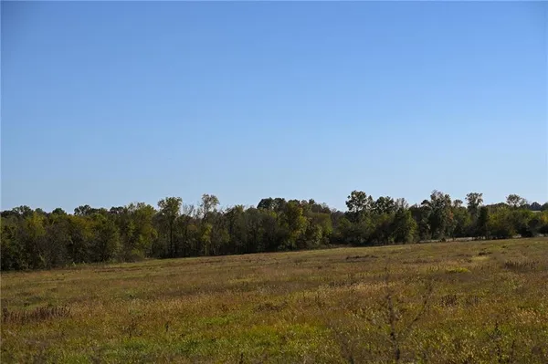 $600,000 | Tbd Southeast 10th Road, Golden City, MO 64748