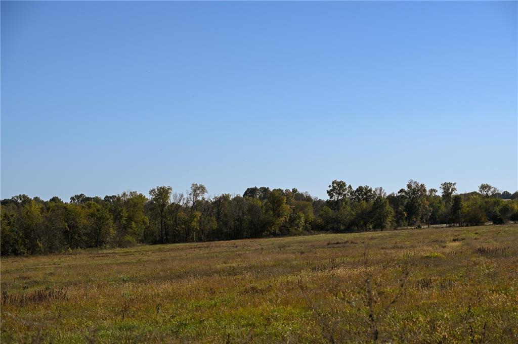 Tbd Southeast 10th Road Golden City, MO 64748 - Photo 46 of 48