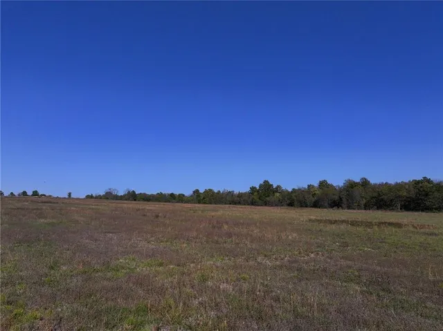 $743,500 | Tbd Southeast 10th Road, Golden City, MO 64748