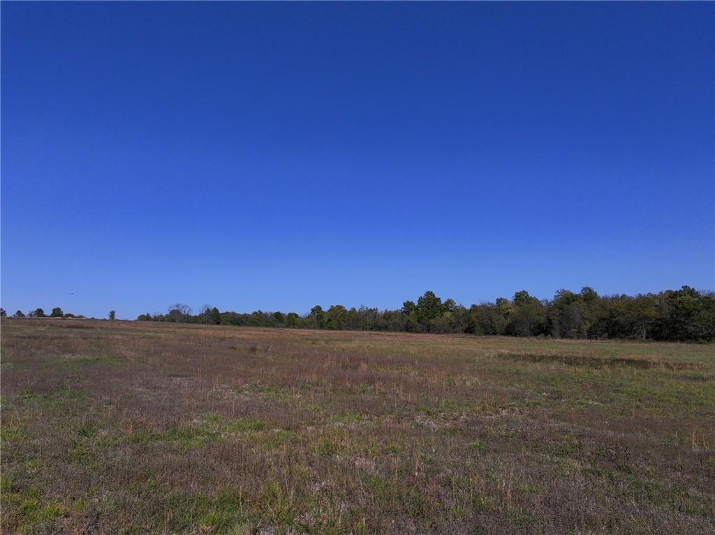 Tbd Southeast 10th Road Golden City, MO 64748 - Photo 10 of 48