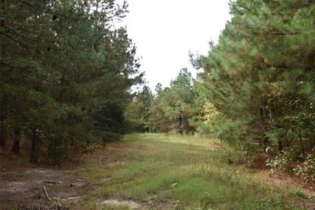 0 Jeffries Cross Road Burlington, NC 27217 - Photo 3 of 4 Photo 3