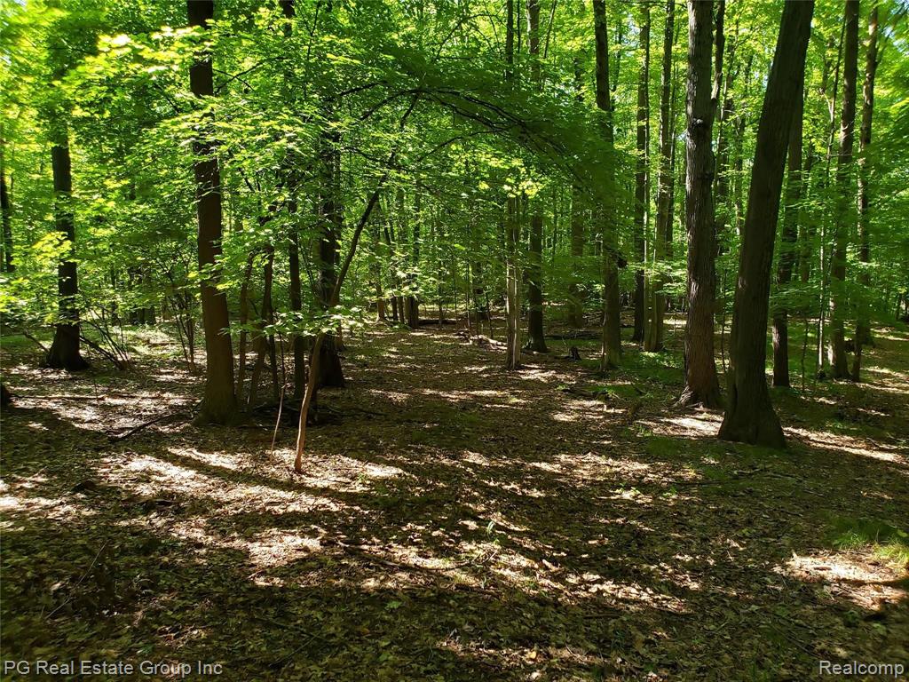0 Charitoo Ridge Leonard, MI 48367 - Photo 20 of 34