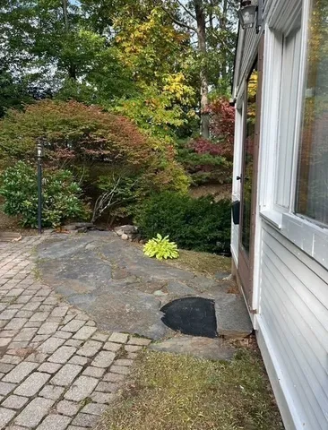 a view of a tree in a backyard of the house