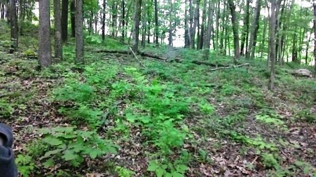0 Montgomery Road Northeast Newark, OH 43055 - Photo 1 of 10