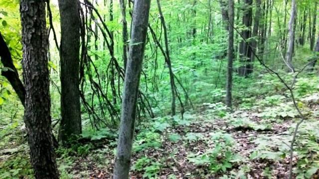 0 Montgomery Road Northeast Newark, OH 43055 - Photo 4 of 10