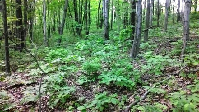 0 Montgomery Road Northeast Newark, OH 43055 - Photo 5 of 10
