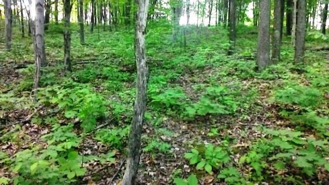 0 Montgomery Road Northeast Newark, OH 43055 - Photo 6 of 10