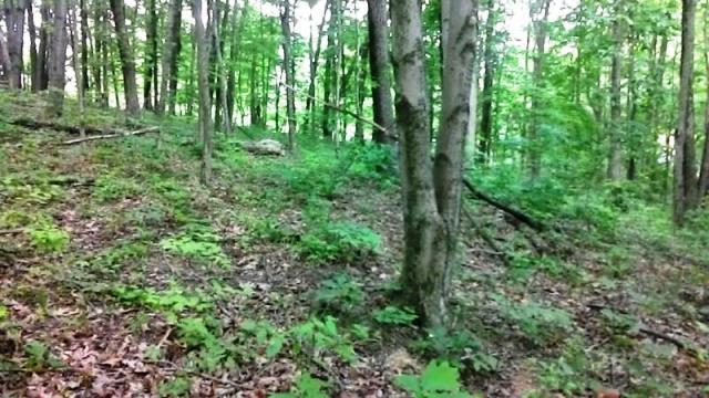0 Montgomery Road Northeast Newark, OH 43055 - Photo 7 of 10
