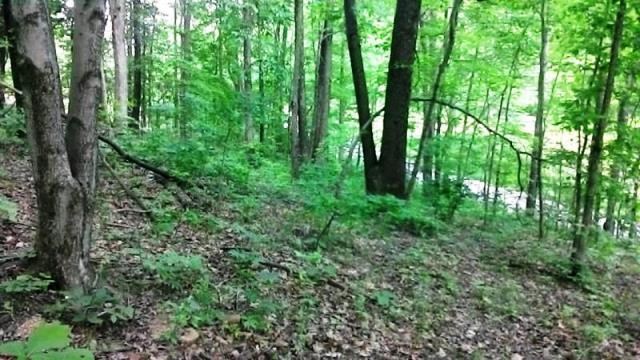0 Montgomery Road Northeast Newark, OH 43055 - Photo 8 of 10