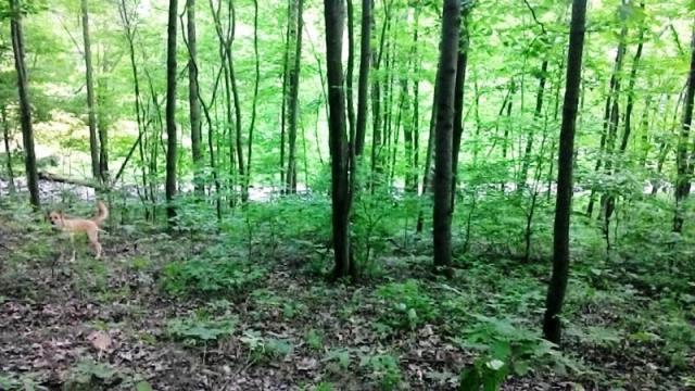 0 Montgomery Road Northeast Newark, OH 43055 - Photo 9 of 10