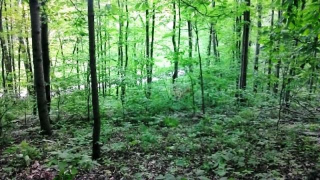 0 Montgomery Road Northeast Newark, OH 43055 - Photo 10 of 10