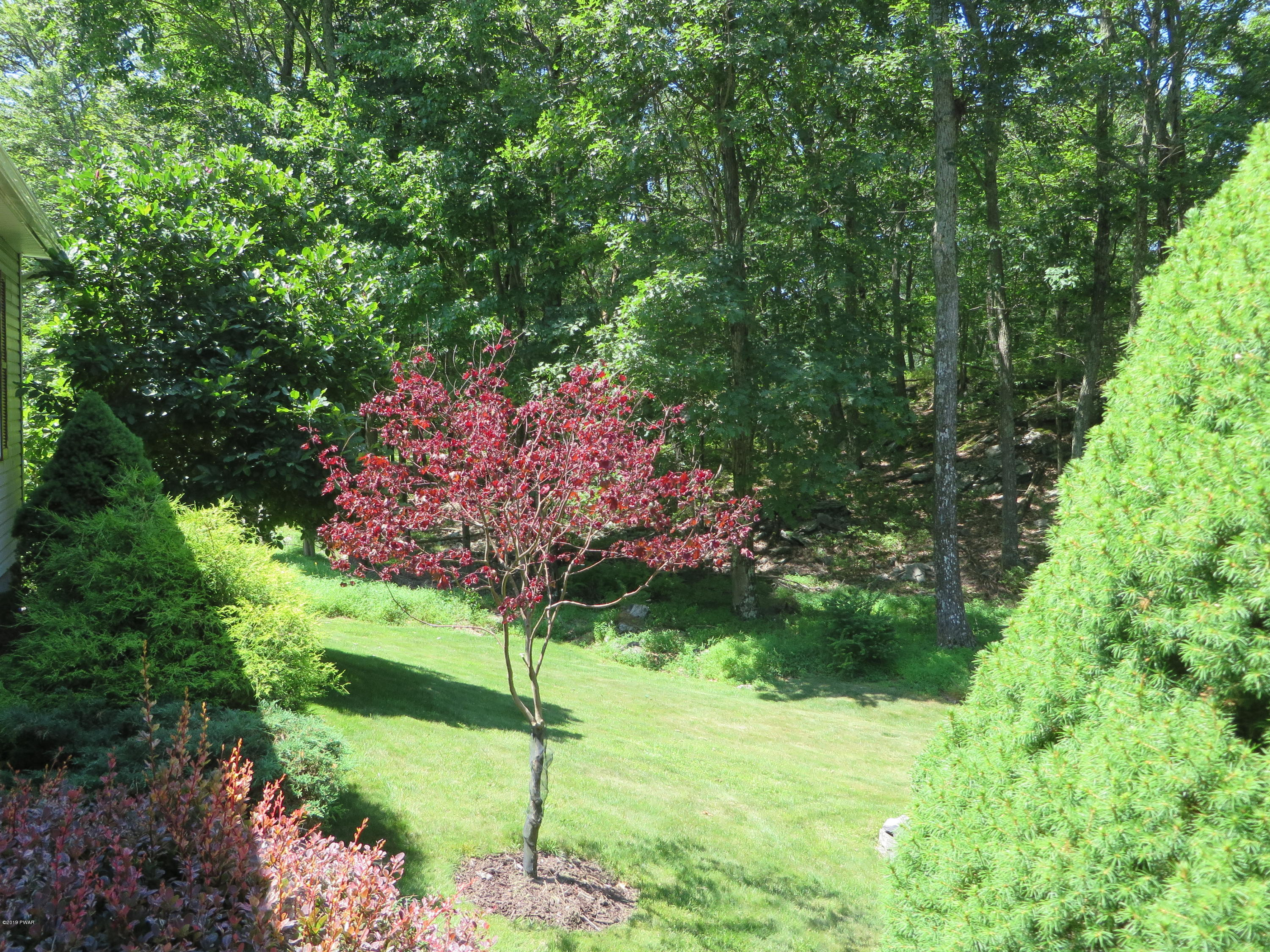 137 Maple Ridge Road Milford, PA 18337 - Photo 6 of 82 a backyard of a house with lots of green space