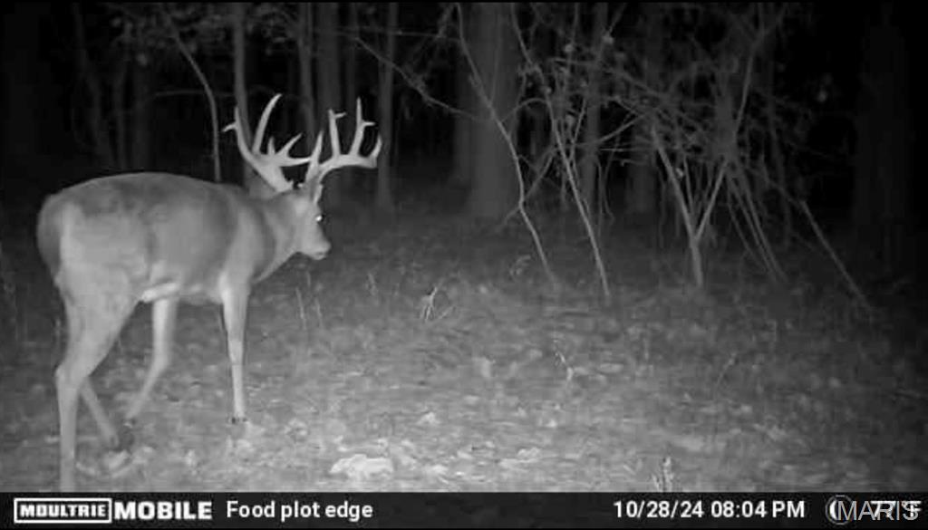 0 State Route 3 Rockwood, IL 62280 - Photo 1 of 26