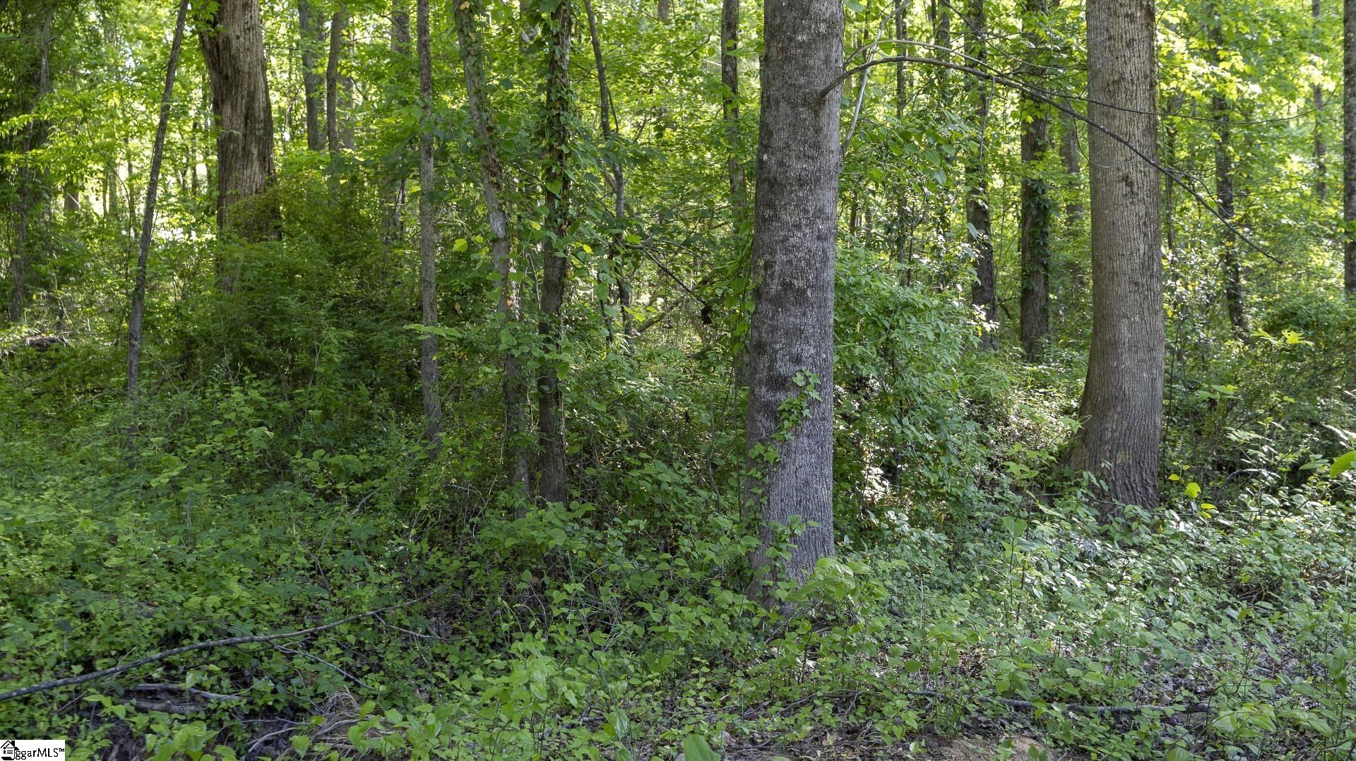 0 Botany Slopes Road Piedmont, SC 29673 - Photo 18 of 44