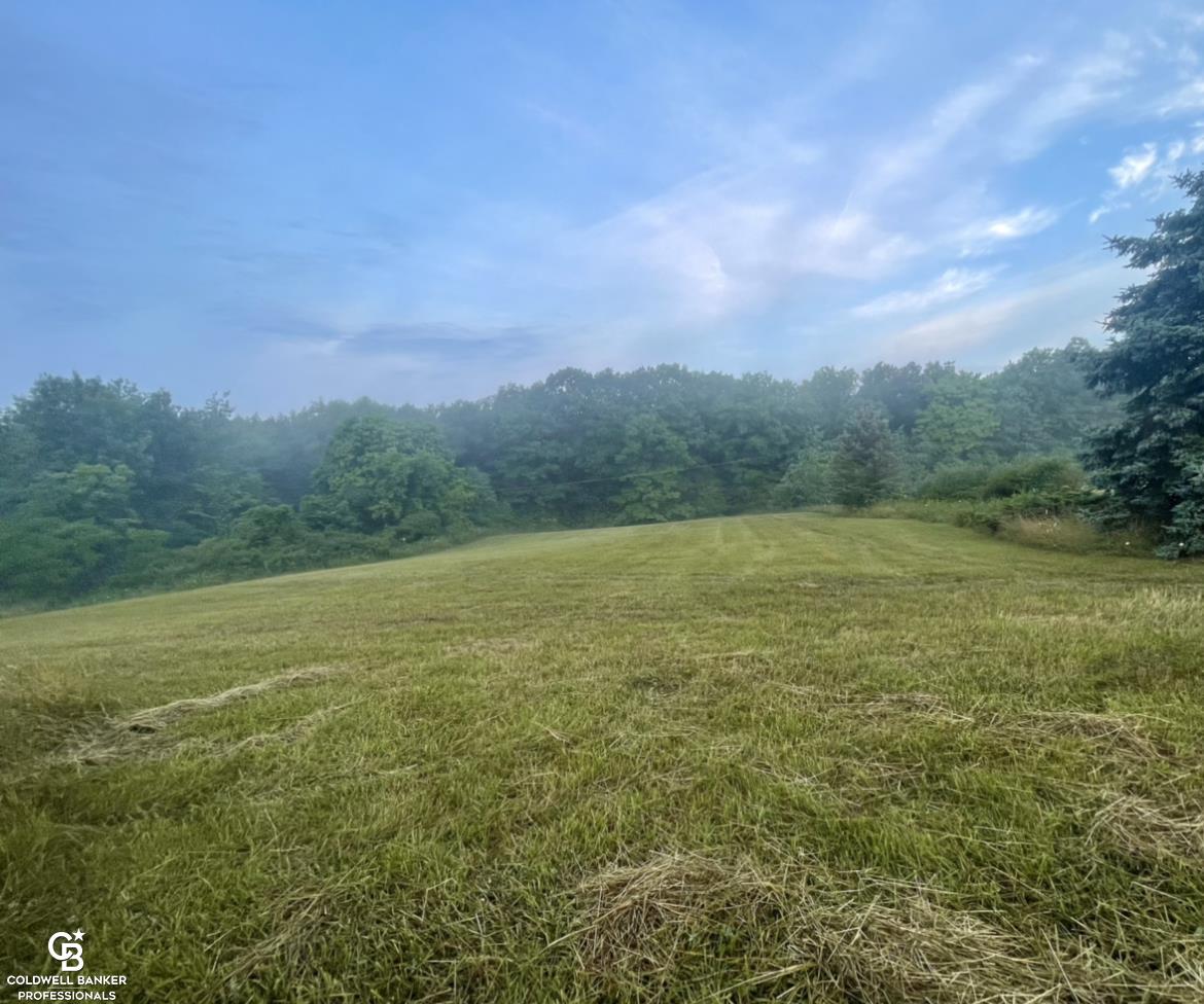 Vincent Road North Street, MI 48049 - Photo 10 of 12