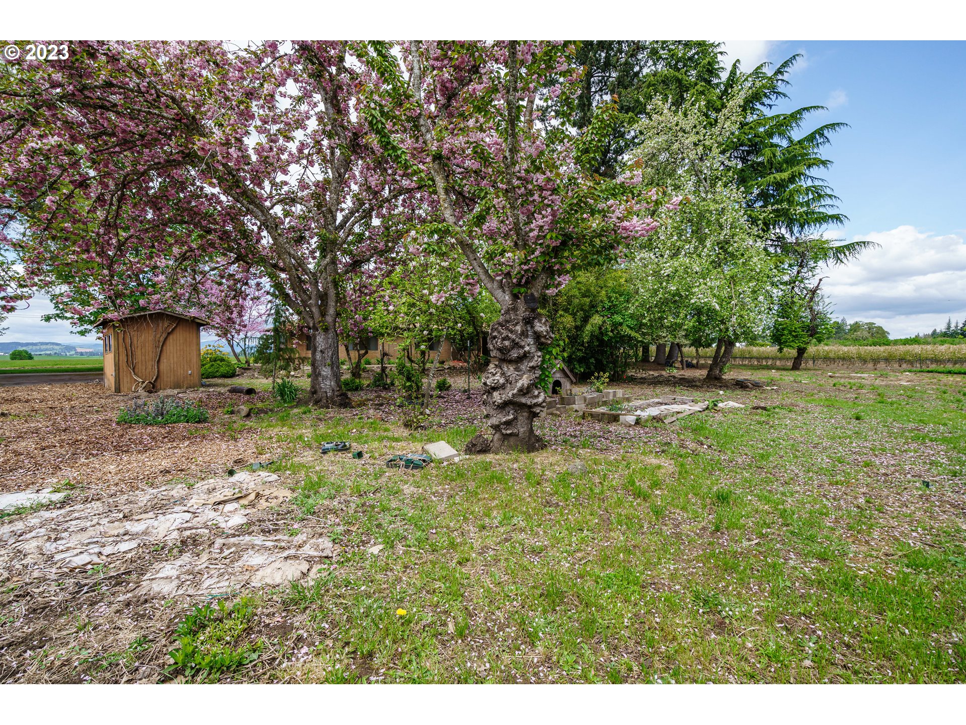 6300 Southwest Minter Bridge Road Hillsboro, OR 97123 - Photo 29 of 32 a backyard of a house with lots of green space