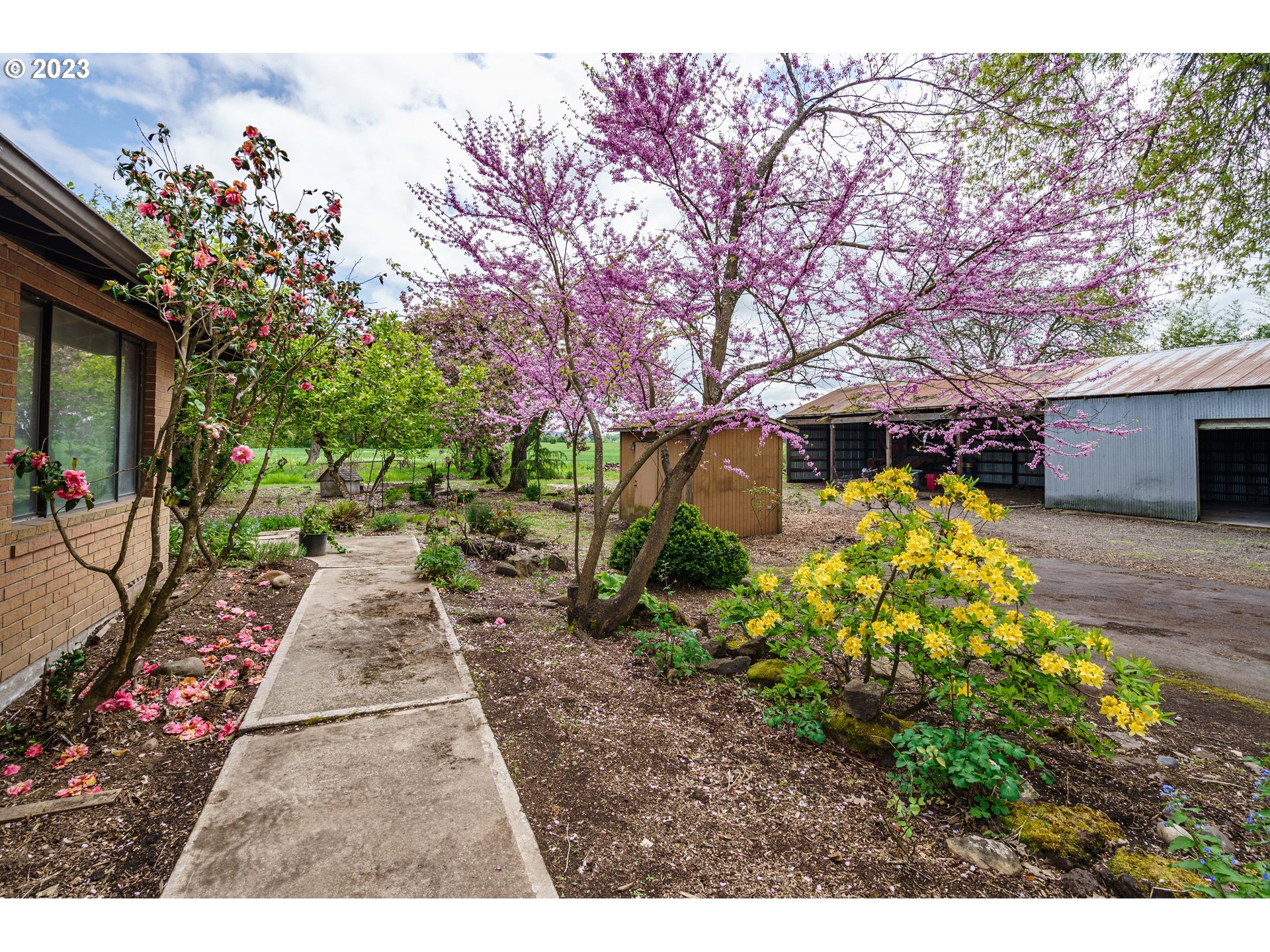 6300 Southwest Minter Bridge Road Hillsboro, OR 97123 - Photo 3 of 32 a view of yard with beautiful flowers and green space