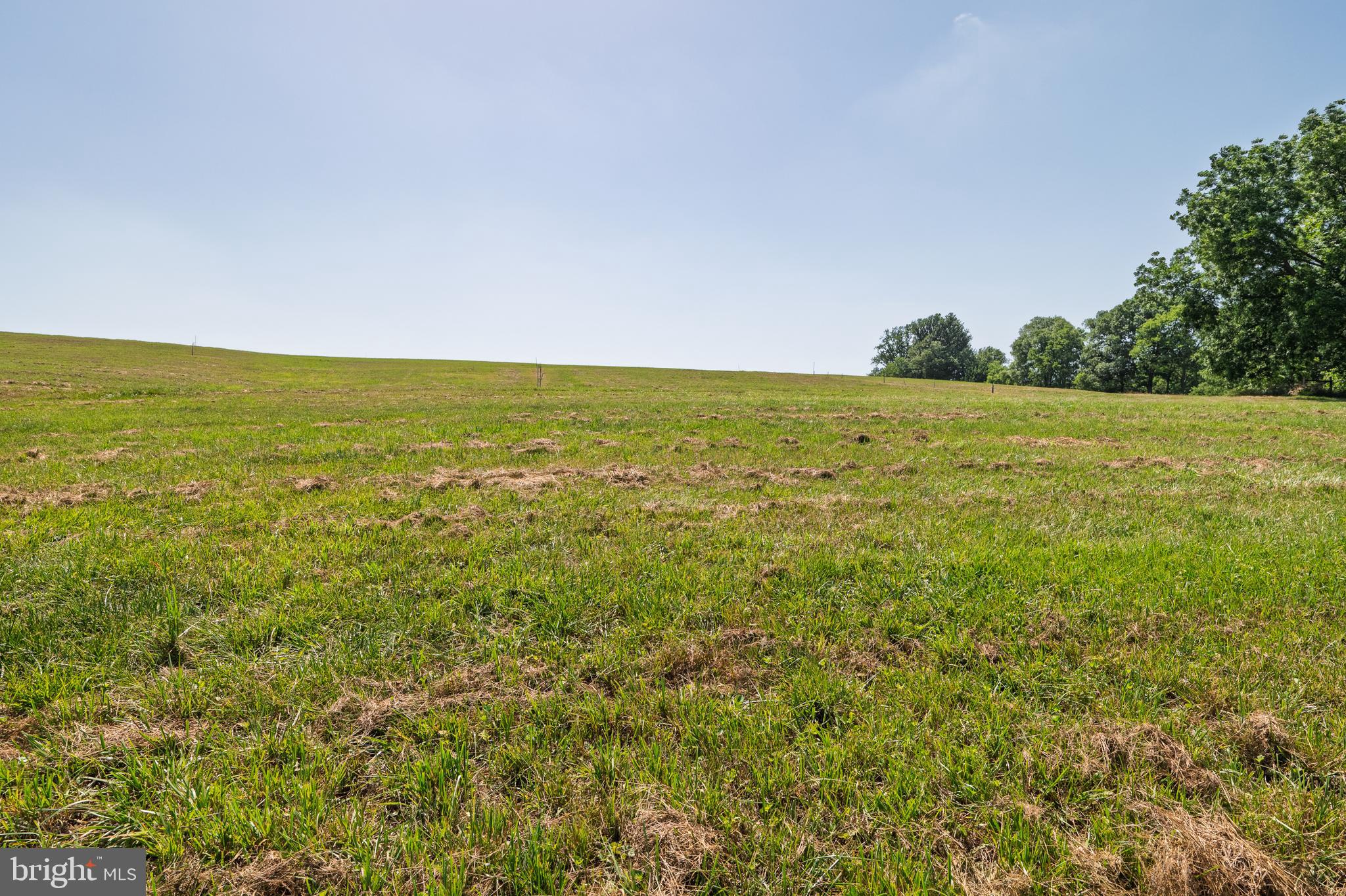 3150 Bidle Road Middletown, MD 21769 - Photo 68 of 93 Gallery Image 68